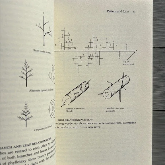 1984 The Growing Tree Forestry Student Tree Arborist Woods Forest Biology Nature - Picture 5 of 8